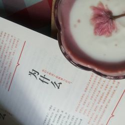 色老99久久九九爱精品:08-13-33-39-45-48M：40,色老99久久九九爱精品，探索数字背后的深层含义与情感连结