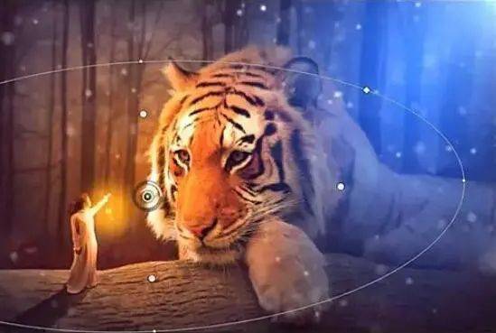 色多多性虎精品无码AV:06-07-13-20-29-37Y：37,探索色多多性虎精品，一场关于艺术、娱乐与文化的交融