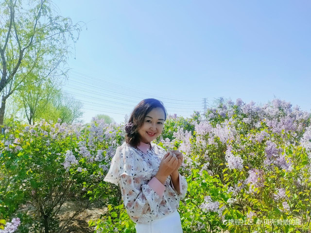 丁香五月综合久久激情:02-05-25-26-41-44P:22,丁香五月,久久激情的综合绽放,一场难忘的盛宴