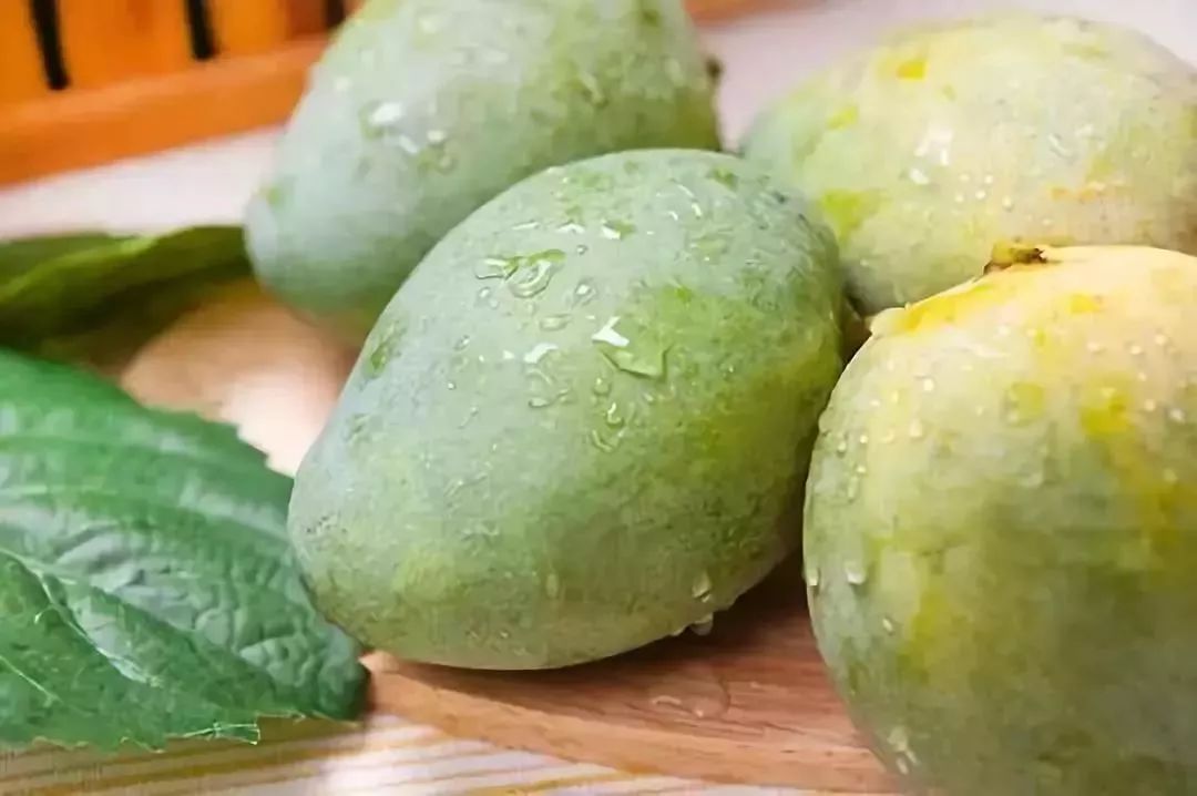 国产精品一区二区香蕉:15-16-18-37-39-45P：31,国产精品一区二区香蕉，深度探索与独特体验