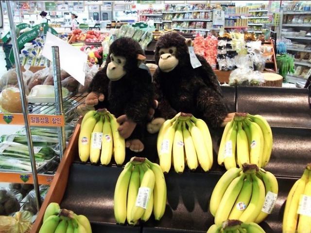 亚洲国产香蕉碰碰人人:12-14-27-33-48-49Y:41,关于亚洲国产香蕉与特定话题的探讨