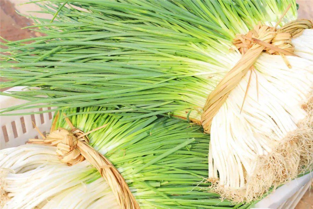 伊人久久大香线蕉精品:07-12-20-28-34-37Y：41,伊人久久大香线蕉精品，探索独特韵味与文化内涵