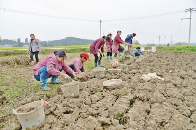 国产乱子伦一区二区三区:25-31-32-34-45-48U：38,国产乱子伦一区二区三区，探索与深度解析