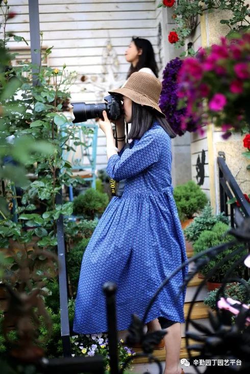 久久婷婷丁香五月综合五:03-04-08-09-13-35M：39,久久婷婷丁香五月综合之美，探寻数字背后的故事与情感