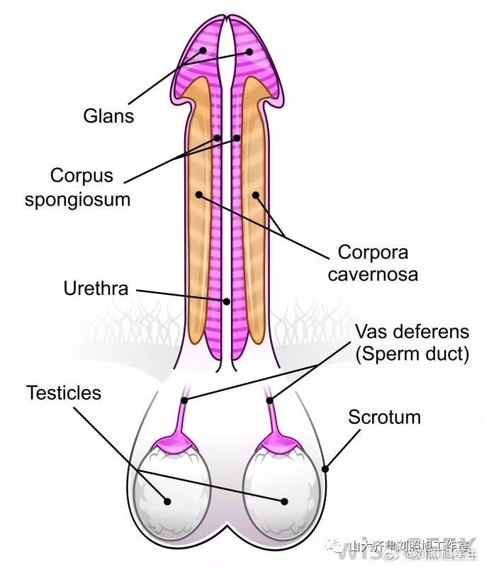 羊入虎口_1 第6页