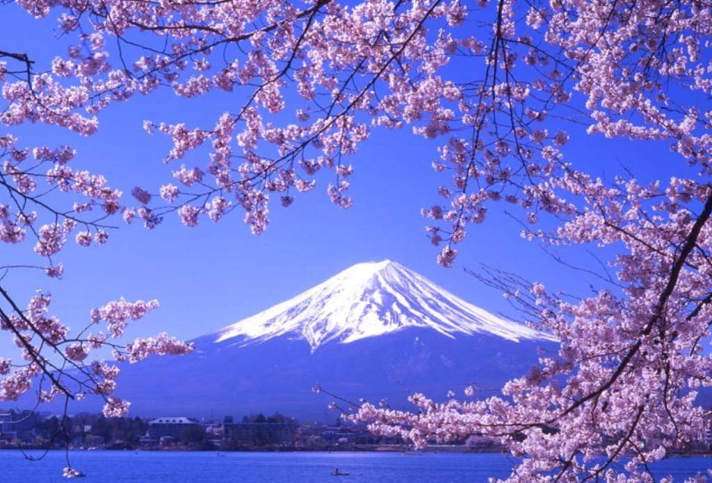 日本道免费精品一区二区:07-25-32-37-43-45G：39,日本道免费精品一区二区，探索日本文化的独特魅力与区域差异