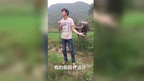 国产午夜福利在线观看视频:02-03-06-08-20-23D:09,关于国产午夜福利在线观看视频的一些探讨与反思