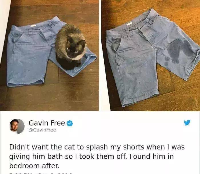 珍禽异兽 第6页