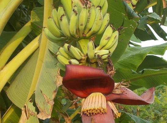 伊人久久大香线蕉无码不卡:04-11-21-26-41-47L：14,伊人久久大香线蕉，探索无码不卡的魅力与艺术