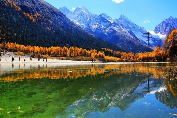 万众一心 第5页