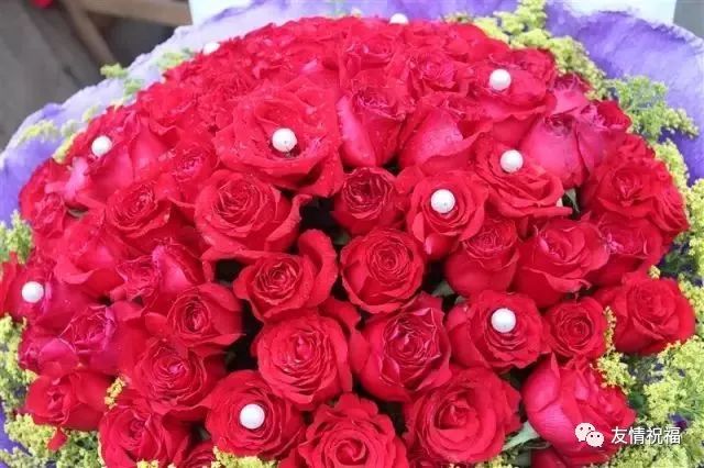 久久久久久久久久久久:10-15-19-25-36-49Z：07,久久久久久久久久久久，时间的流转与生命的印记