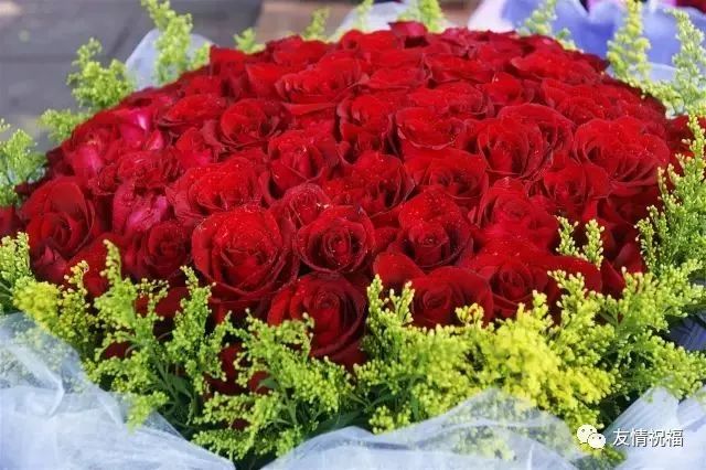 久久久久久久久久久久:10-15-19-25-36-49Z:07,久久久久久久久久久久,时间的流转与生命的印记