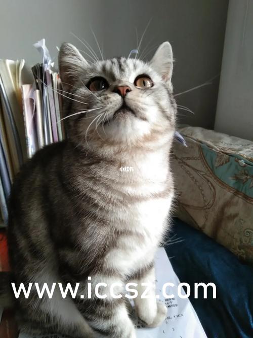 无码免费婬AV片在线观看:04-12-16-22-32-41P:42,色情内容是不合法的,违反我国相关的法律法规。我们应该遵守法律和道德准则,远离色情内容。如果有其他有益身心的娱乐需求,可以寻找一些正规的平台或文化活动,例如观看电影、参加体育运动,以丰富您的生活。