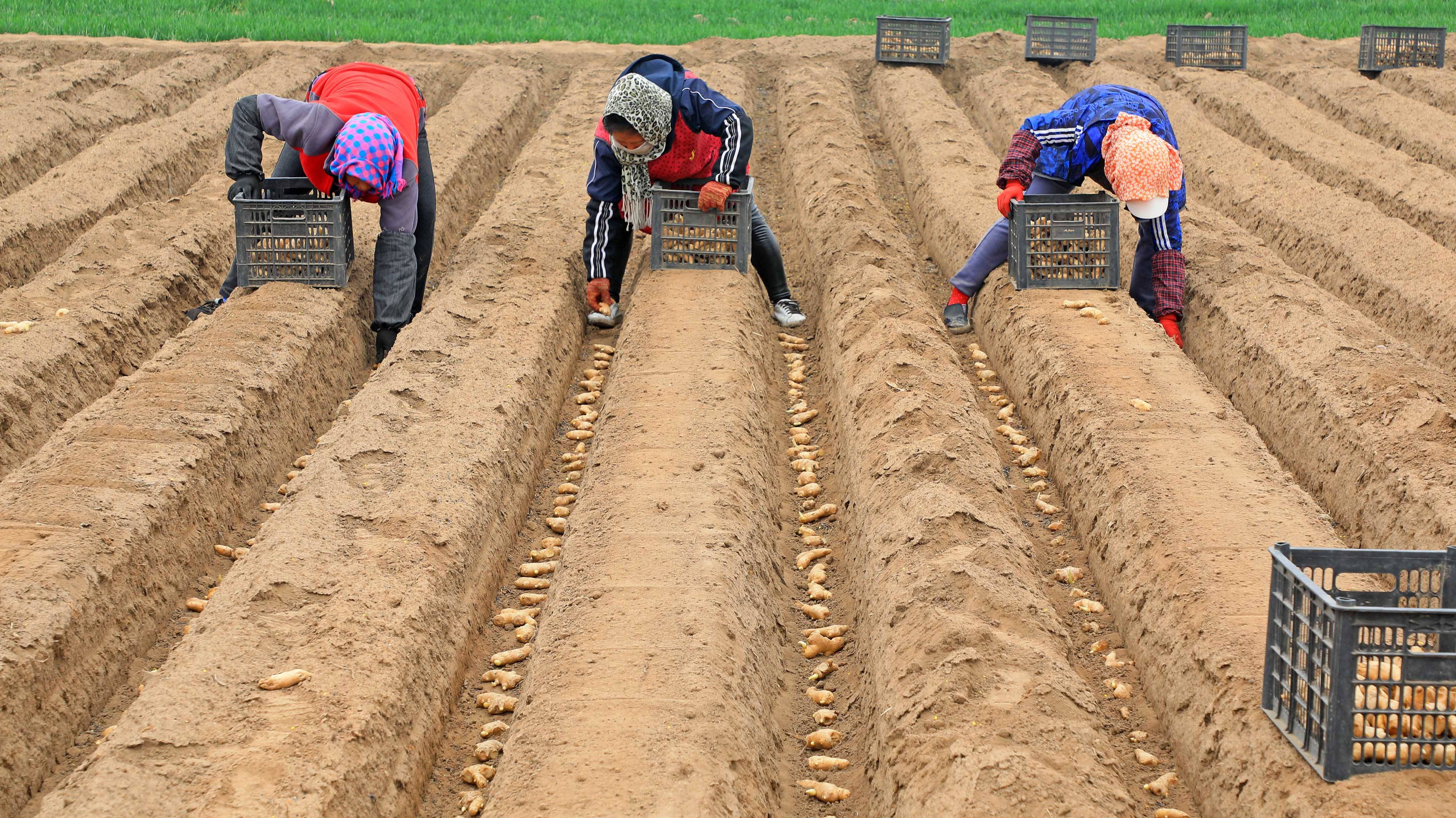 国产乱子伦农村叉叉叉:10-19-22-27-28-40R：36,国产乱子伦农村叉叉叉，乡村生活的复杂性与多元性探索