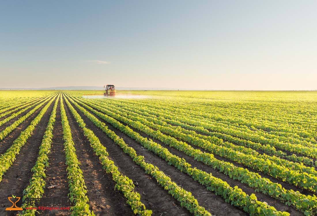 国产乱子伦农村叉叉叉:10-19-22-27-28-40R:36,国产乱子伦农村叉叉叉,乡村生活的复杂性与多元性探索