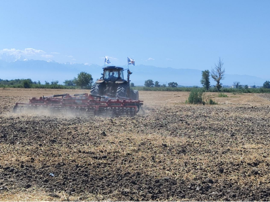 国产乱子伦农村叉叉叉:10-19-22-27-28-40R:36,国产乱子伦农村叉叉叉,乡村生活的复杂性与多元性探索