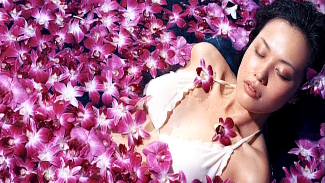 亚洲丁香五月激情综合:08-11-18-20-30-33X：03,亚洲丁香五月激情的综合探索，一场时间与空间的交织之旅（08-11-18-20-30-33X）