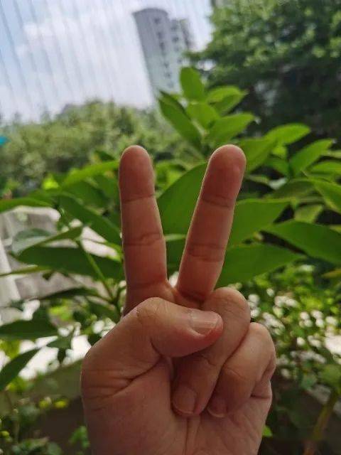 伊人依成久久人综合网:09-24-25-29-38-44K：44,伊人依成久久人综合网，探索数字世界的魅力与机遇