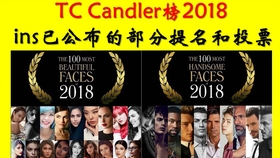 特级毛片A级毛片100免费播放:01-09-12-34-39-46G:44,特级毛片A级毛片免费观看,探索数字时代的影视娱乐新境界