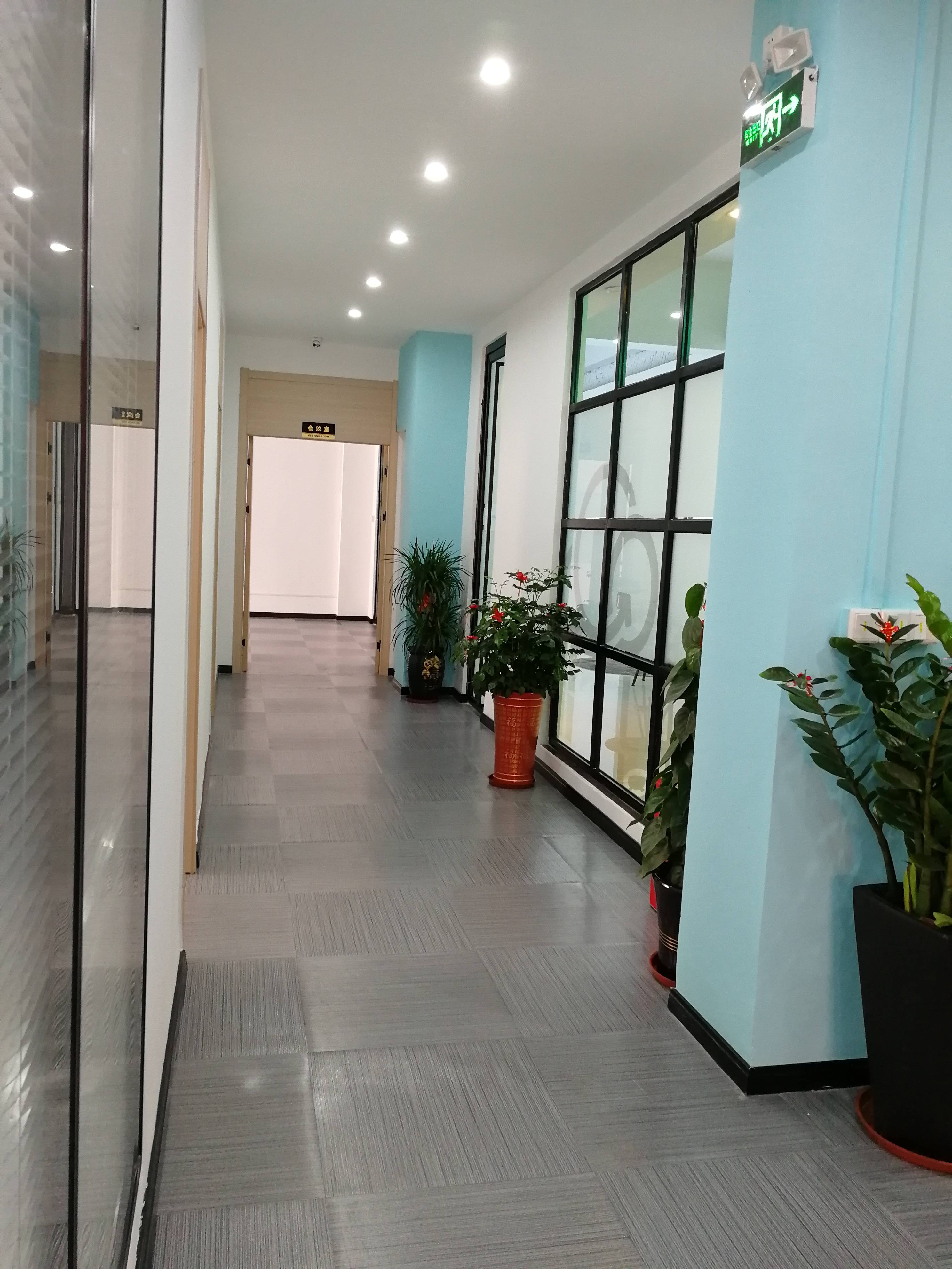 全免费A级毛片免费看无码:02-03-24-28-30-44D：02,探索全免费A级毛片，一场关于艺术、娱乐与自由的探讨