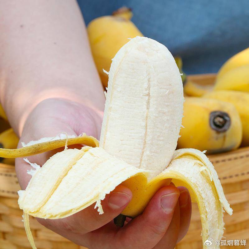 一本大道大臿蕉无码视频:01-03-06-30-41-45L：35,探索一本大道，大臿蕉无码视频的魅力与艺术