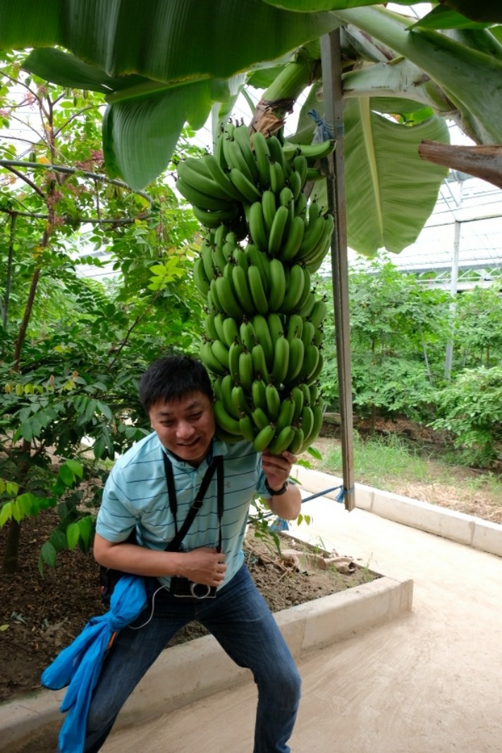 一本大道大臿蕉无码视频:01-03-06-30-41-45L:35,探索一本大道,大臿蕉无码视频的魅力与艺术