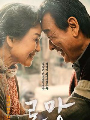 韩国免费A级作爱片免费观看中国:05-16-26-32-45-47T：06,韩国免费A级电影探索，文化与娱乐的交织