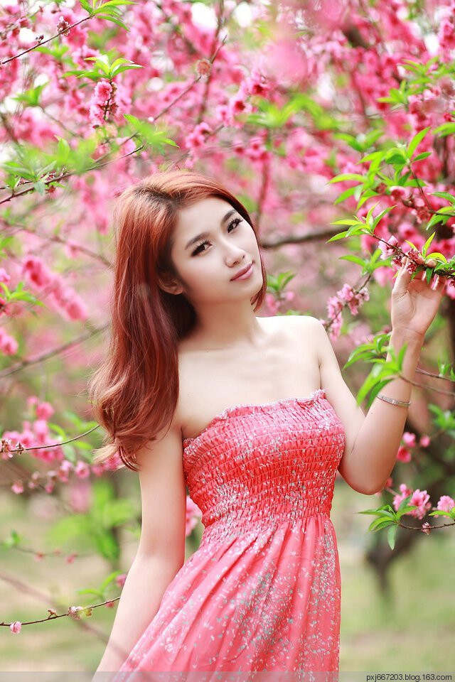 色综合久久久久综合一本到桃花网:04-12-29-33-39-45K：08,色综合久久久久综合一本探索之旅，桃花网与数字之谜