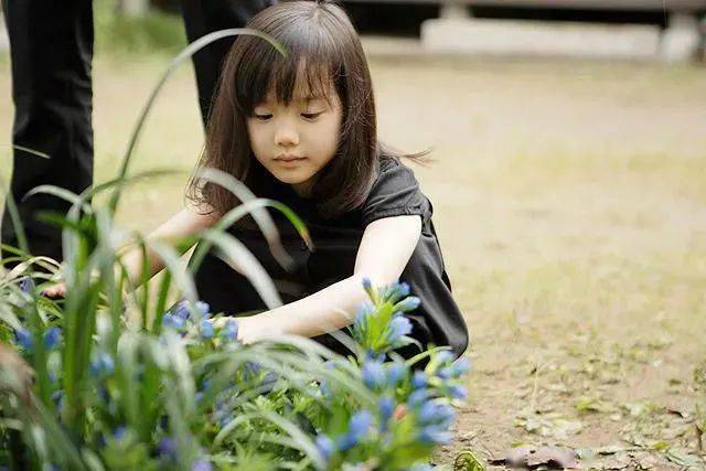 玩弄JAPAN白嫩少妇HD小说:29-32-33-36-40-48Y:35,关于玩弄日本白嫩少妇HD小说的探索