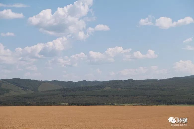 久久国产乱子伦精品免费乳及:01-02-16-29-41-47N：18,久久国产乱子伦精品，探索免费乳的文化内涵与数字背后的故事