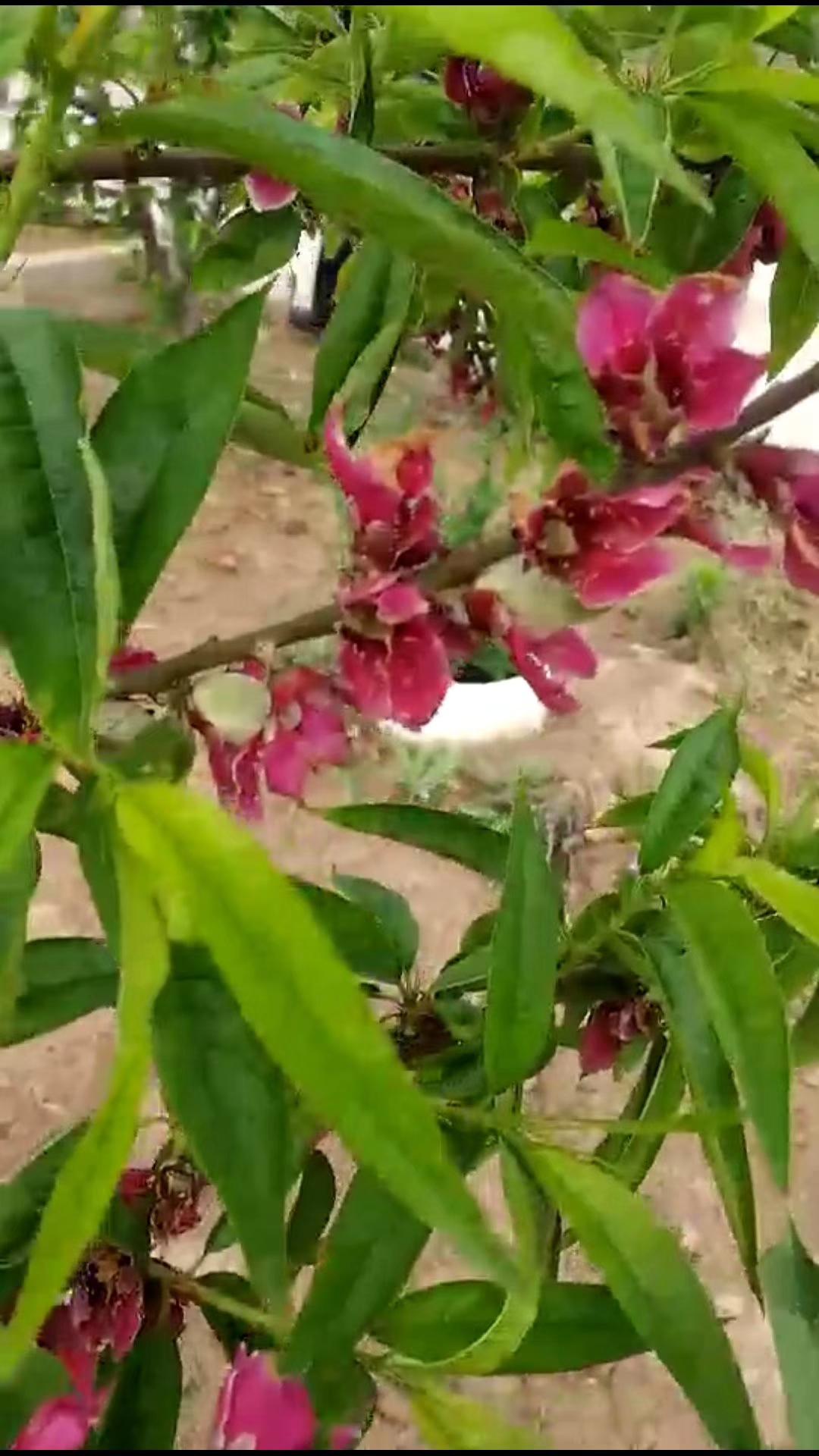 人人天干天干啦夜天干天天爽:01-17-19-23-25-43W：09,人人天干天干啦夜天干天天爽，探索未知的魅力与生活的活力