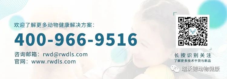 7777精品久久久大香线蕉:03-12-15-20-35-43R:03,探索数字世界的神秘面纱,关于7777精品久久久大香线蕉与特定数字序列的探讨