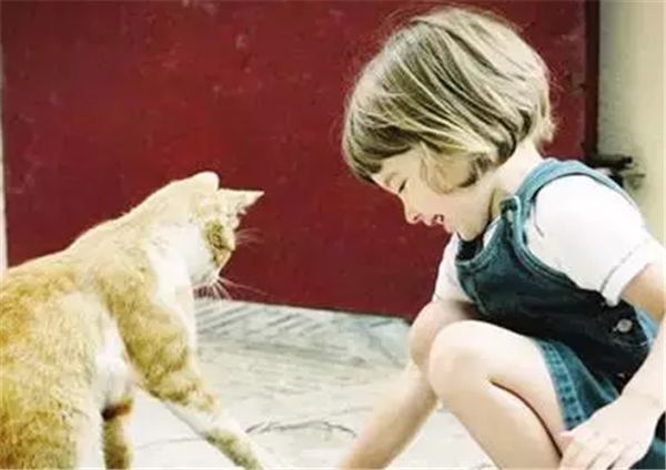 日韩激情无码免费毛片:07-11-39-40-42-47H:09,日韩激情影视探索,无码免费毛片与特定日期的独特魅力