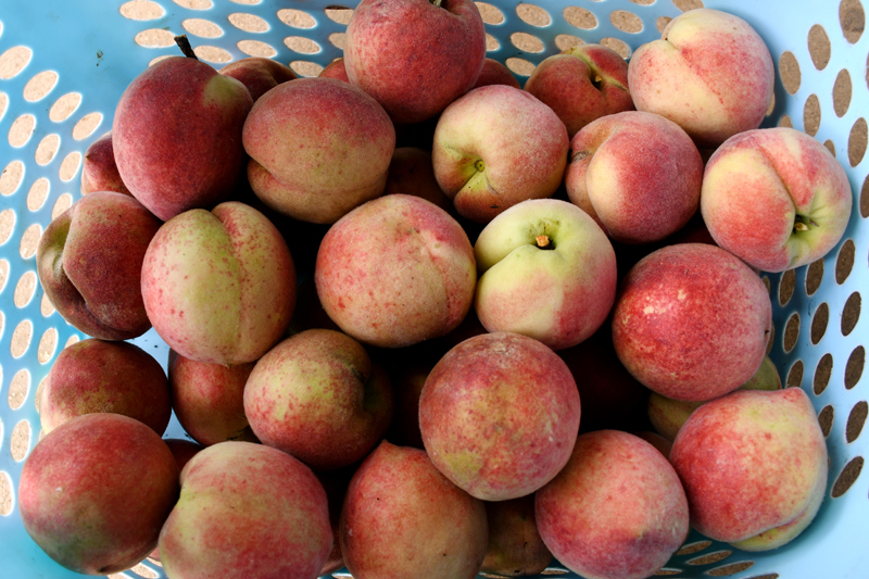 国内精品久久久久久99蜜桃:06-15-17-24-28-41G：32,国内精品文化深度探索，久久蜜桃的独特魅力与内涵发展