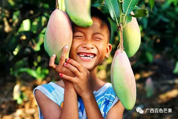 国内精品自线2021芒果:02-07-26-29-40-45Y：24,国内精品自线2021芒果，探索优质内容的无限魅力与机遇