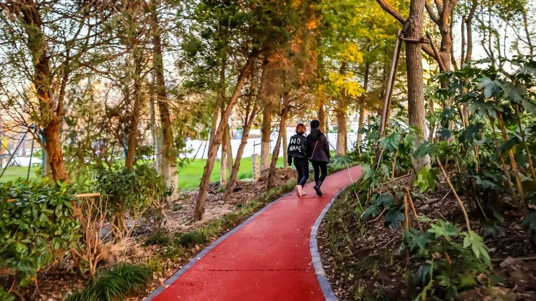 乱子伦一区二区三区:04-05-11-14-17-23R：26,探索乱子伦一区二区三区，深度解析与独特体验