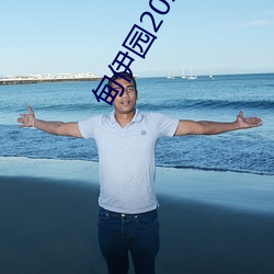 免费无码中文字幕A级毛片HD:04-26-32-33-36-41T:44,免费无码中文字幕A级毛片HD的魅力与影响