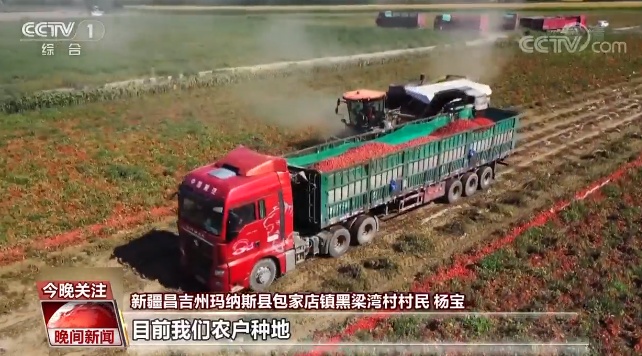 国农村精品国产自线拍:16-23-29-35-39-45N：09,国农村精品国产自线拍，探索农村产业的繁荣之路