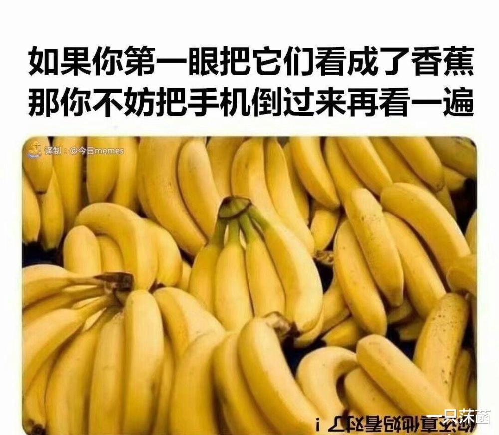 狗尾续貂 第3页