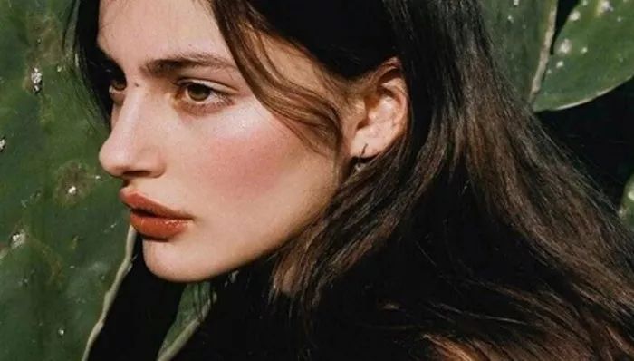 欧美人与动牲交A欧美精品:08-30-35-38-39-41M:40,欧美人与动物交流的艺术,欧美精品探索(深度解析)