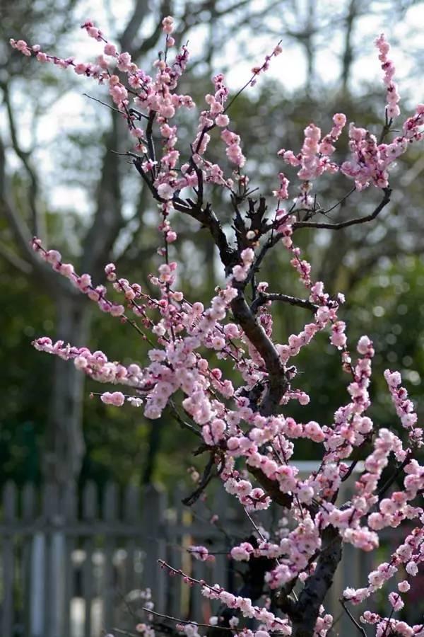 久久综合伊人:06-08-15-28-31-47X:36,久久综合伊人,探索神秘数字序列的奥秘