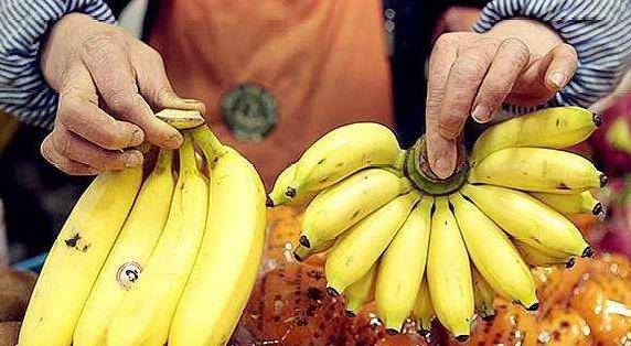 鹏程万里 第4页