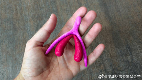 女人大荫蒂毛茸茸视频:06-07-19-23-28-43Z：11,关于女人大荫蒂毛茸茸视频的一些探讨