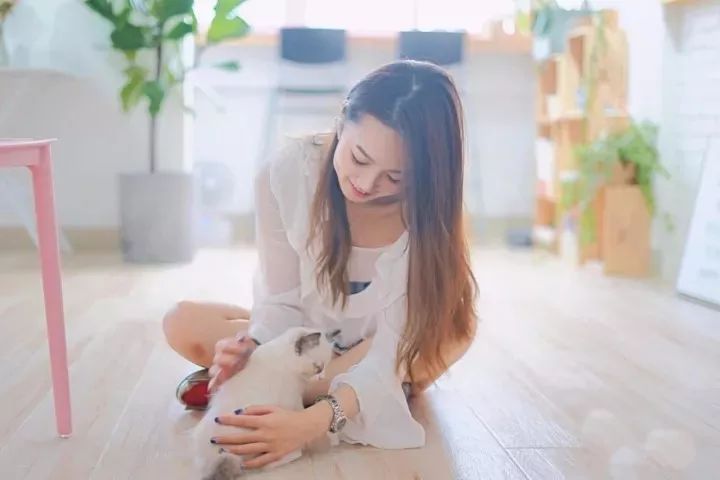 风平浪静 第5页