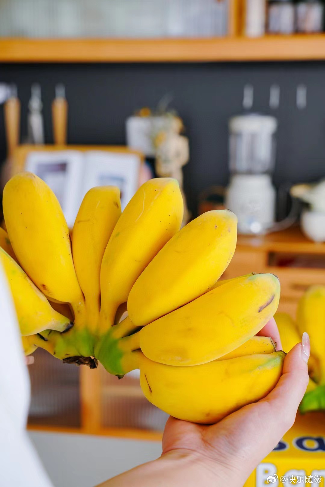 青黄不接 第5页