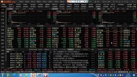 最新无码国产在线视频2021:08-11-19-40-43-49B：36,探索最新无码国产在线视频的魅力，一场视觉盛宴的解读