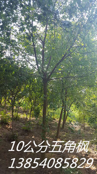 久久国产乱子伦免费精品:10-23-26-43-45-48F：19,久久国产乱子伦精品系列，探索与赏析