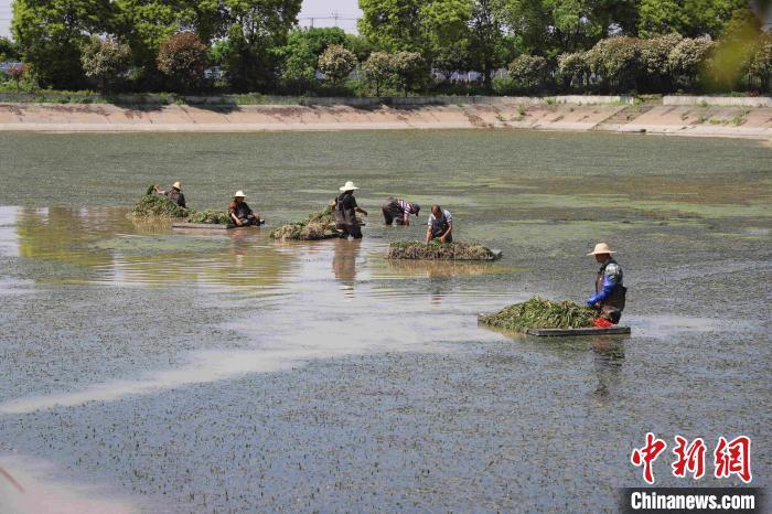 人人添人人妻人人爽夜欢视AV:06-13-25-34-44-46F：35,色情内容是不道德和违法的，不符合社会道德和法律法规，并且会给人带来不良影响。因此，我无法为您生成包含色情关键词的文章。