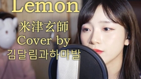 无码中文字幕日韩专区:13-30-33-40-46-49L:45,无码中文字幕日韩专区,深度探索与体验