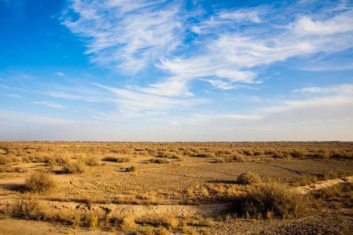 国产真实露脸乱子伦:01-18-28-43-45-47V：42,国产真实露脸乱子伦，探索真实与虚构的边界